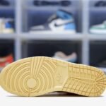 6_sole-Air Jordan 1 Retro High Shattered Backboard 3.07.jpeg
